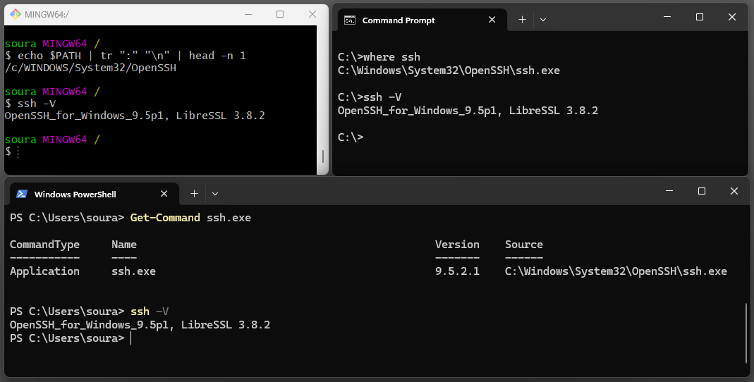 Correct ssh.exe found in all three shells